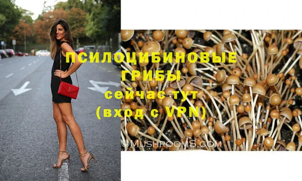 spice Балахна