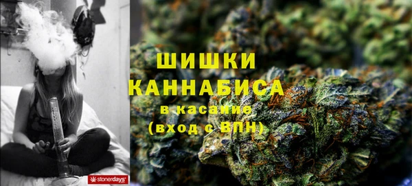 spice Балахна