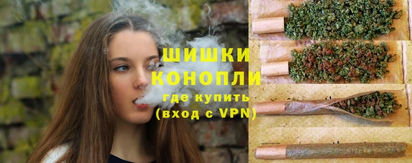 дживик Баксан