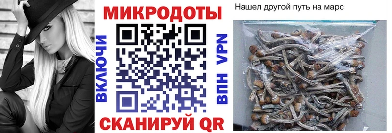 Псилоцибиновые грибы Cubensis  omg сайт  Бежецк  даркнет сайт 